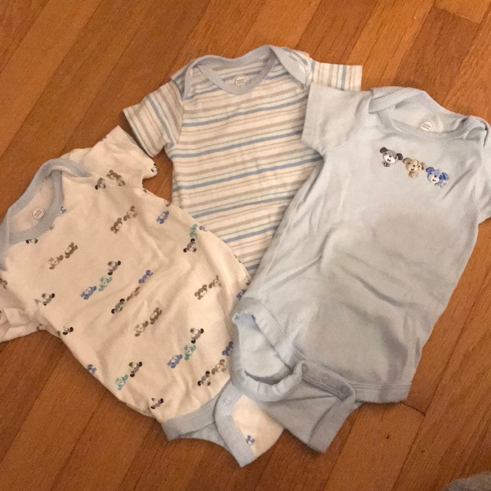 Puppy set 3-6 mths